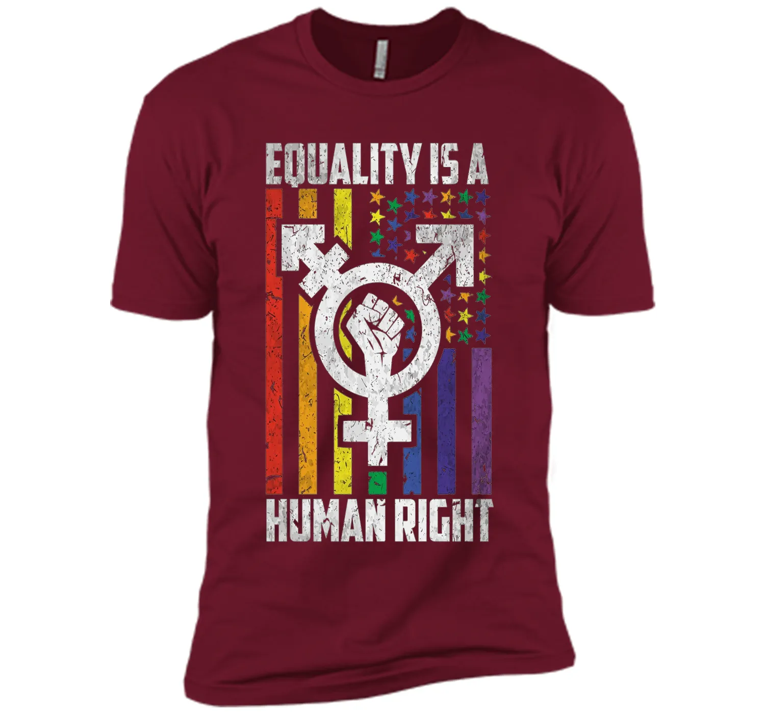 LGBT Pride Shirts Equality is a Human Right gift T-Shirt shirt